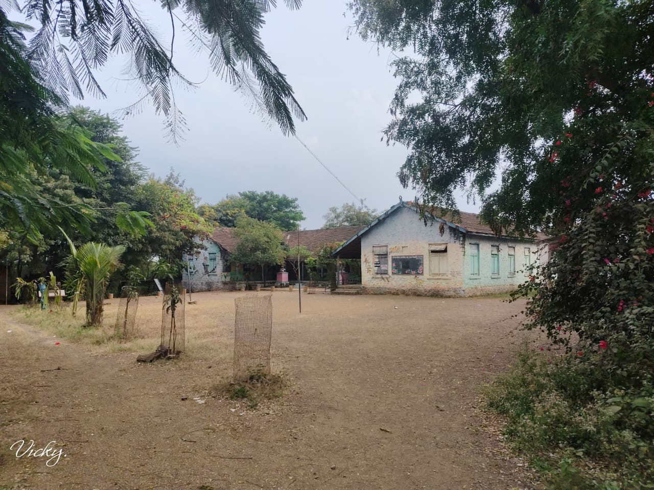 WhatsApp Image 2025-11-25 at 8.24.47 AM (1) WhatsApp Image 2025-11-25 at 8.24.47 AM (1)